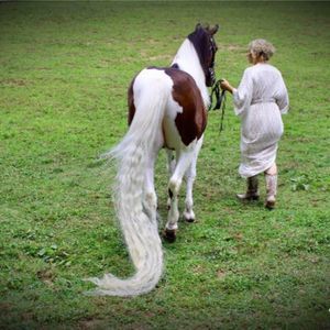 Meet your Posher, Susan